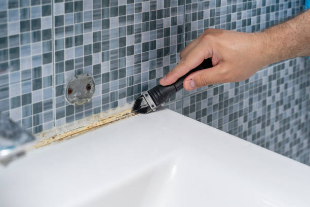Best Mold Testing  in Banks Springs, LA